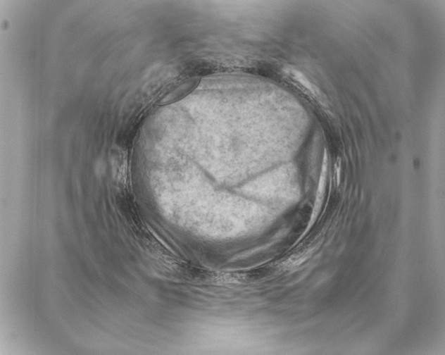 X0000088601251200706151753