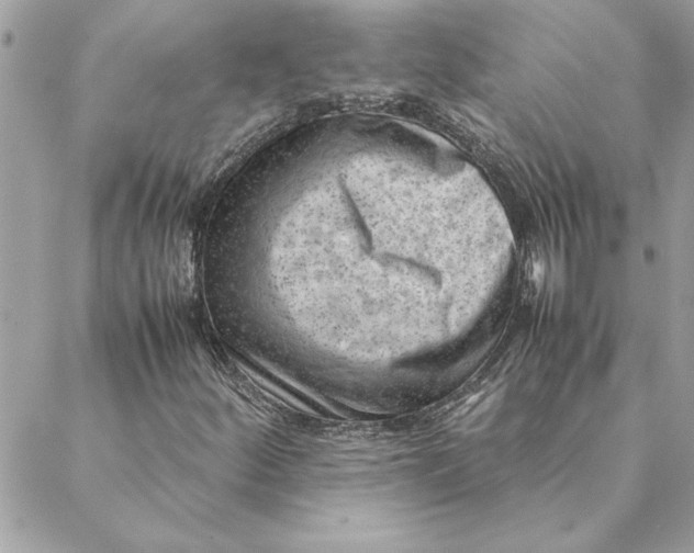 X0000088601252200706151753