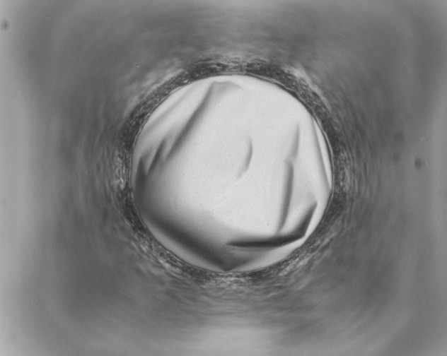 X0000088601253200706151752