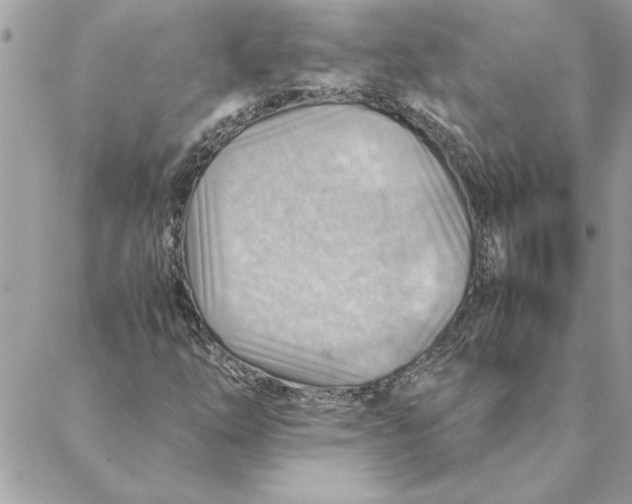 X0000088601254200706151752