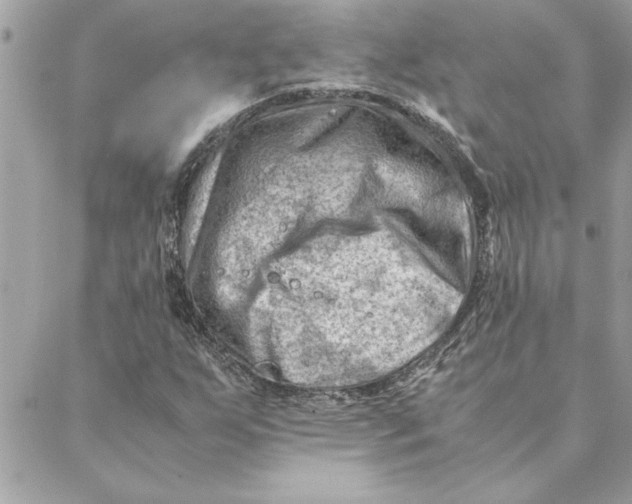 X0000088601255200706151752