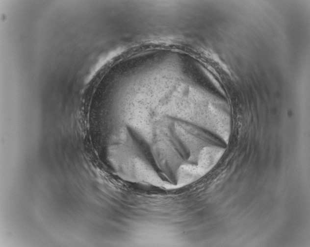 X0000088601256200706151752