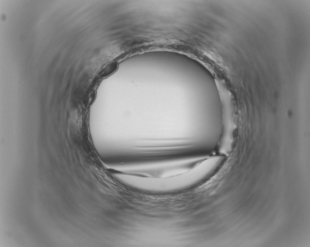 X0000088601257200706151752