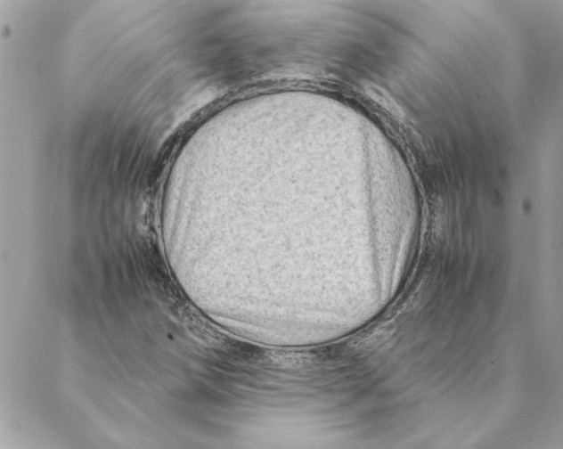 X0000088601258200706151752