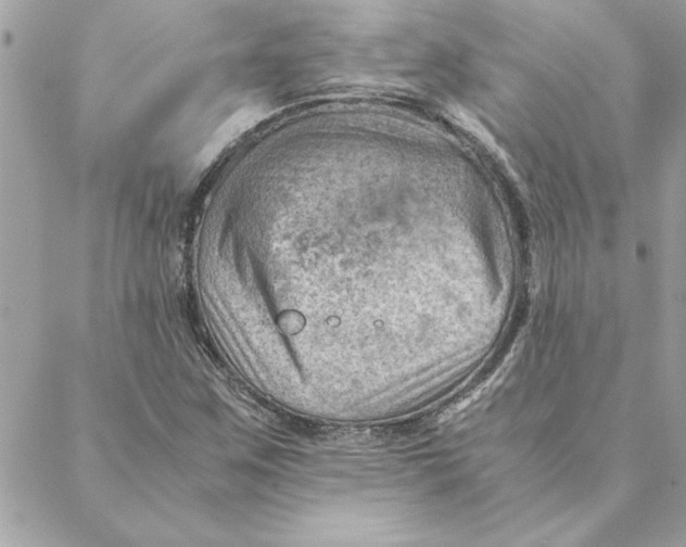 X0000088601259200706151752