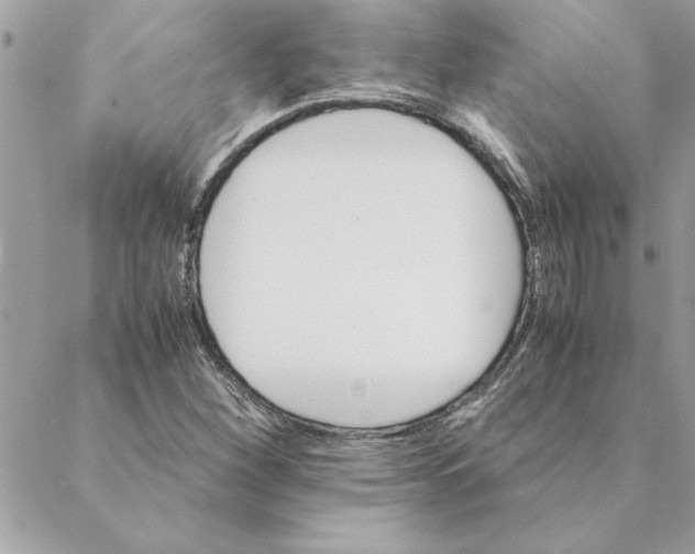 X0000088601260200706151752