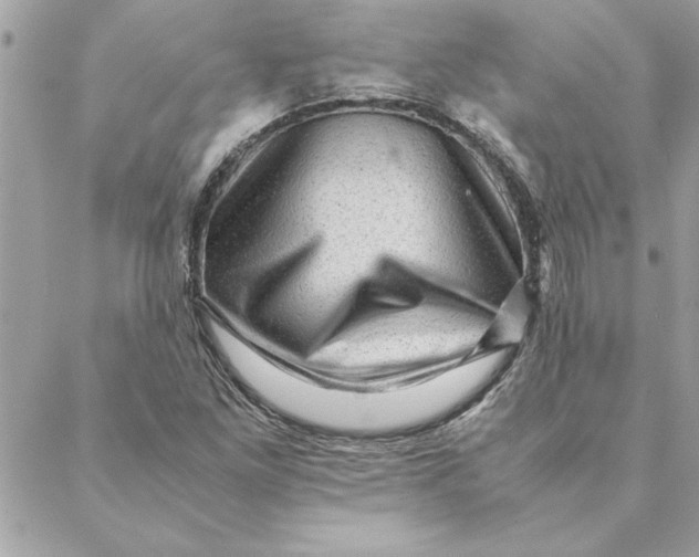 X0000088601261200706151752