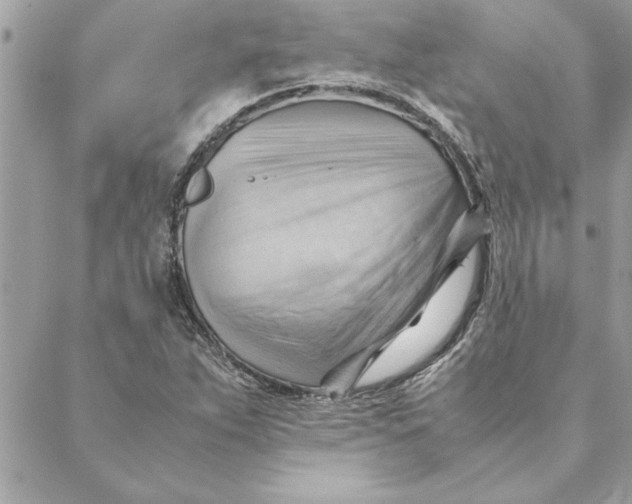 X0000088601263200706151752