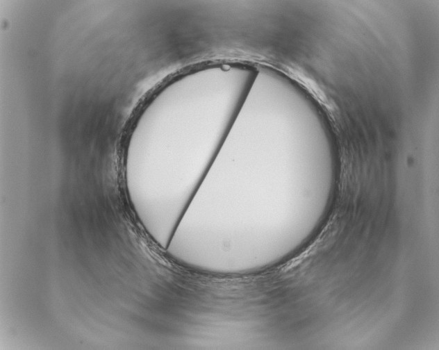 X0000088601264200706151752