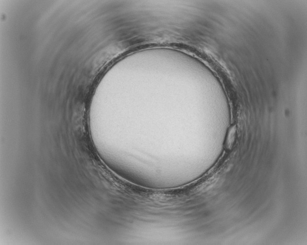 X0000088601265200706151752