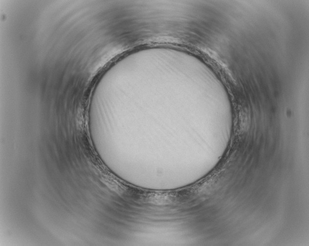 X0000088601266200706151752