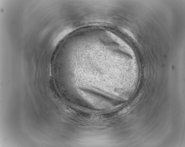 X0000088601267200706151752