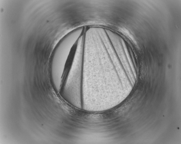 X0000088601268200706151752