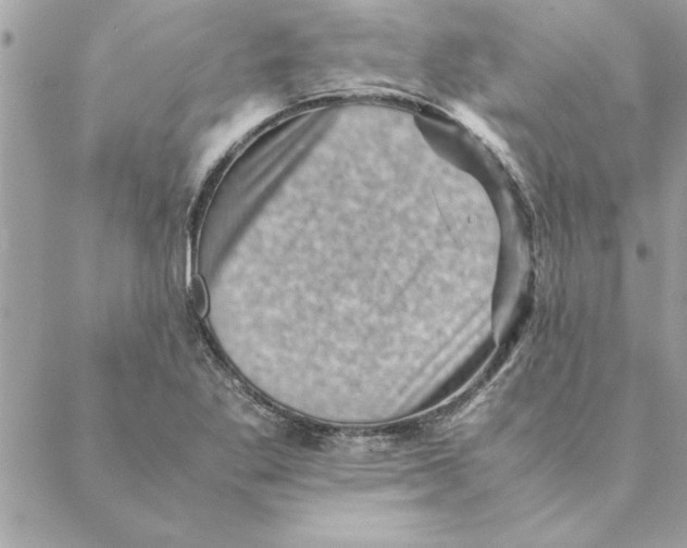 X0000088601269200706151752