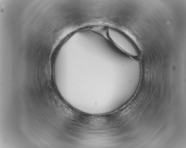 X0000088601270200706151752