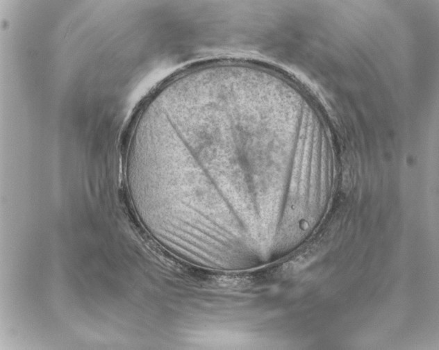 X0000088601271200706151752