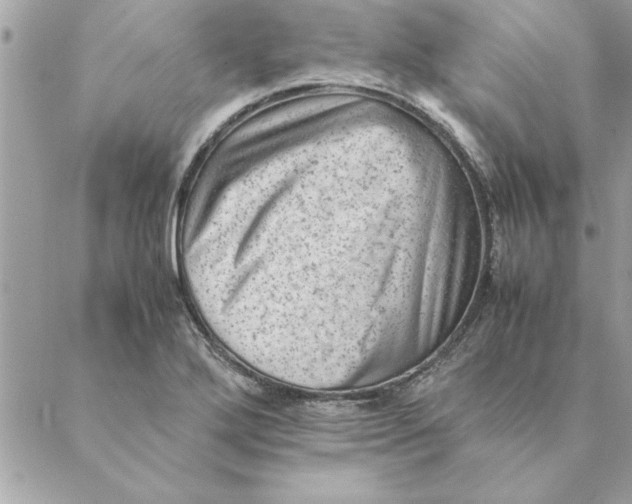 X0000088601272200706151752