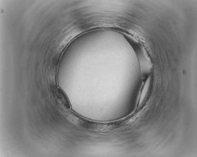 X0000088601273200706151752