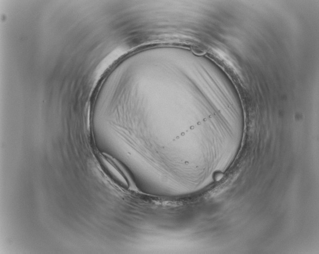 X0000088601275200706151752