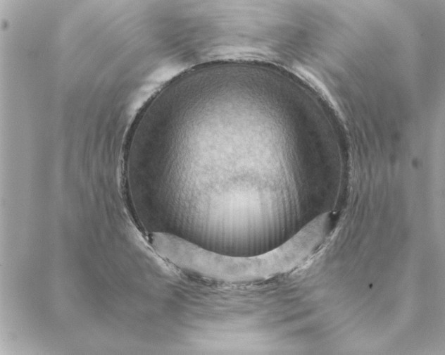 X0000088601277200706151752