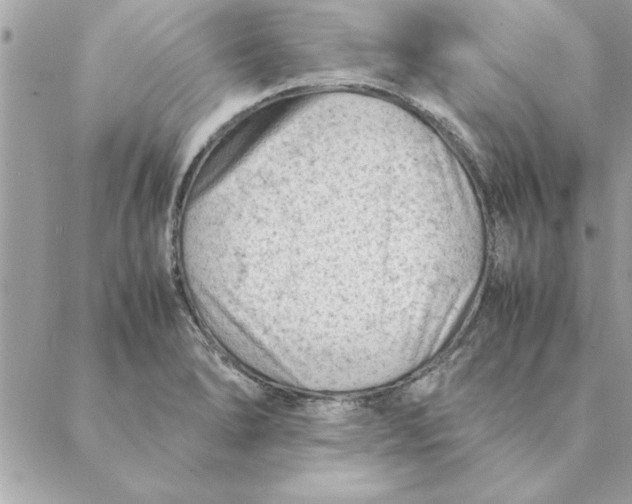 X0000088601278200706151752