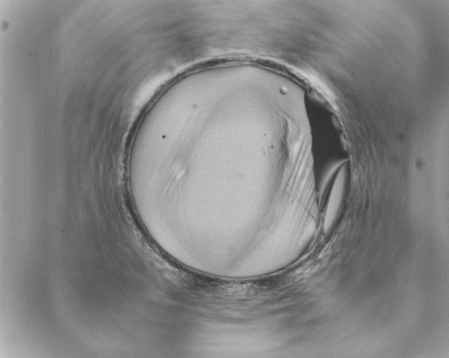 X0000088601279200706151752