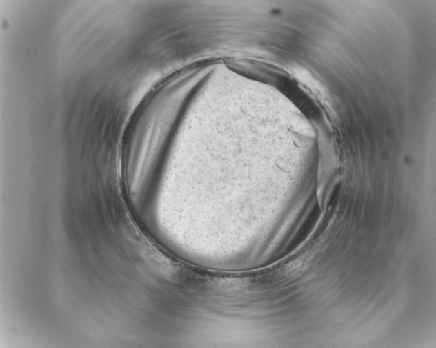 X0000088601280200706151752