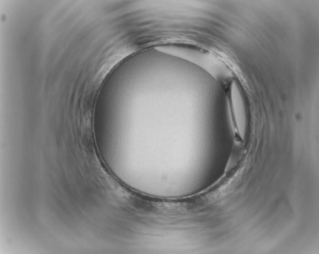 X0000088601281200706151752