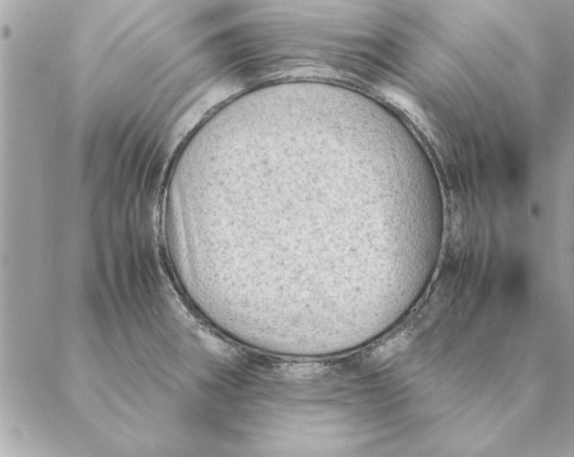 X0000088601282200706151752