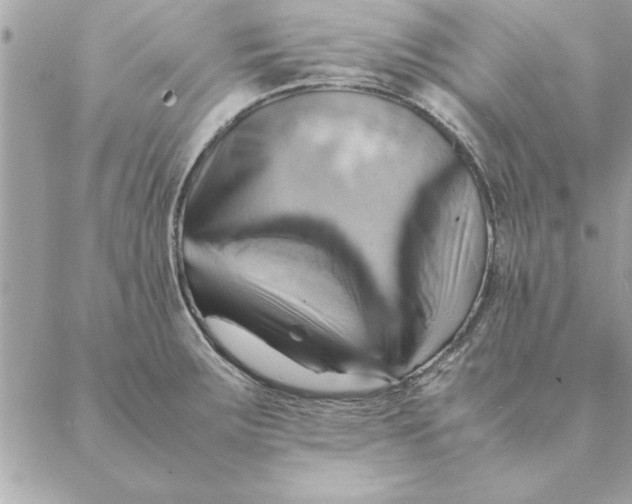 X0000088601283200706151752