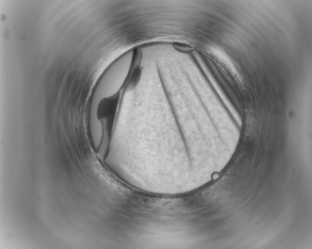 X0000088601284200706151752