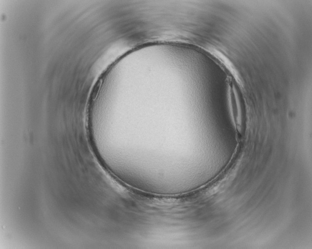 X0000088601285200706151752