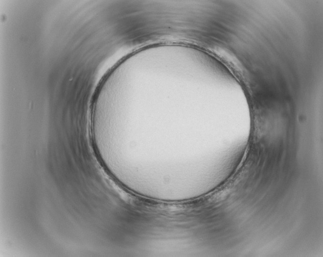 X0000088601286200706151752