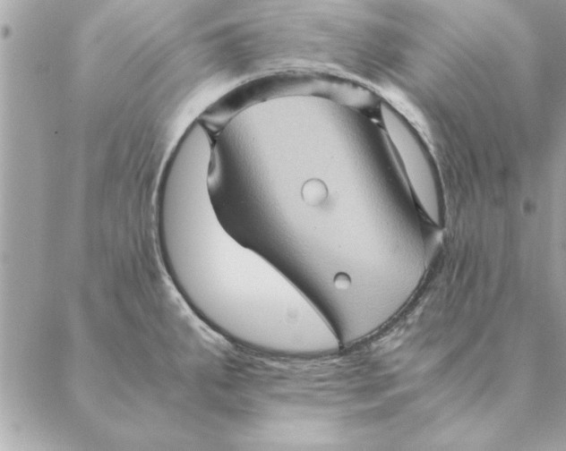 X0000088601287200706151752