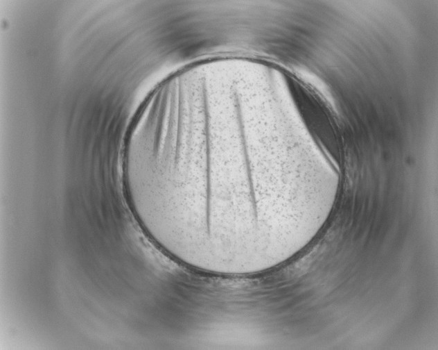 X0000088601288200706151752