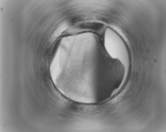 X0000088601289200706151752