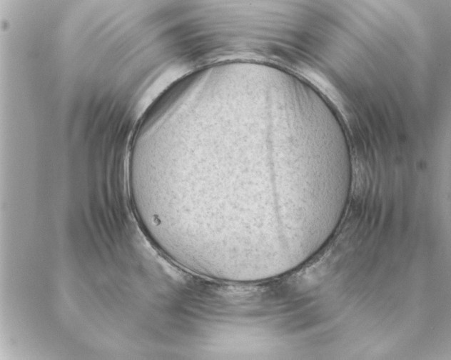 X0000088601290200706151752