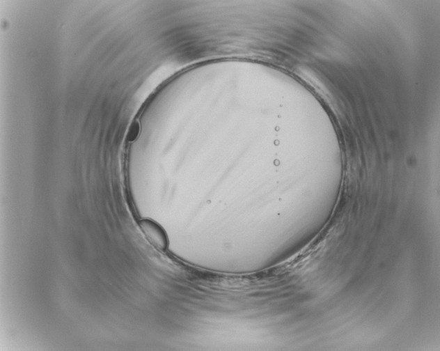 X0000088601291200706151752