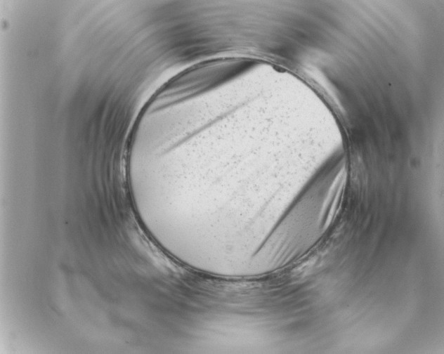 X0000088601292200706151752