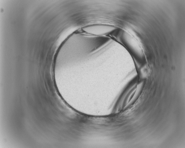 X0000088601293200706151752