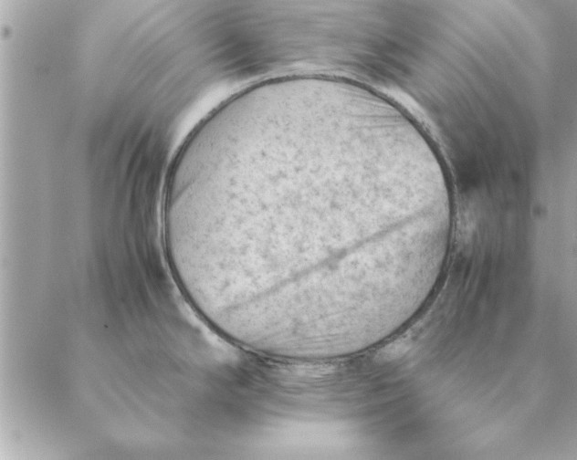 X0000088601294200706151752