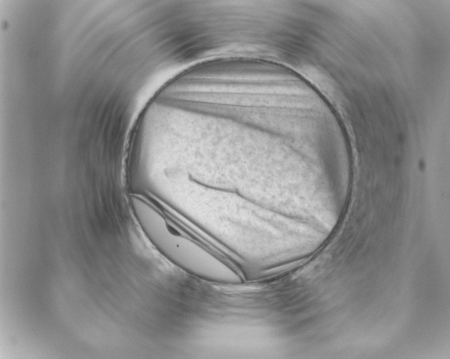 X0000088601296200706151752