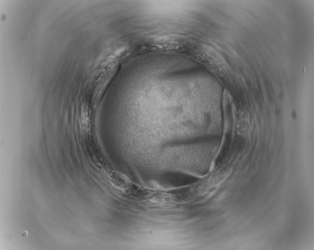 X0000088601298200706151751