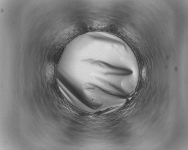 X0000088601299200706151751