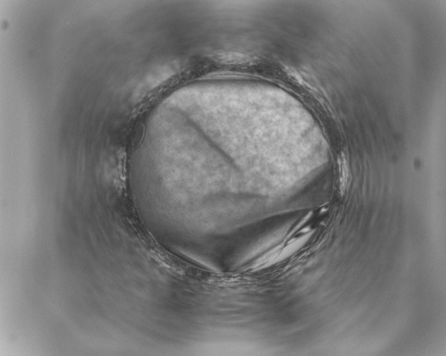 X0000088601301200706151751