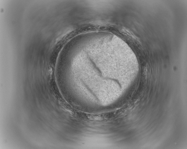 X0000088601302200706151751