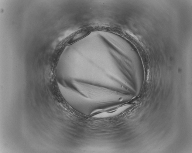 X0000088601303200706151751