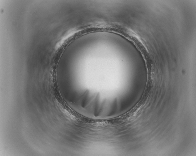 X0000088601304200706151751