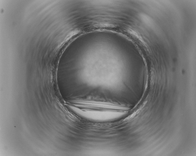 X0000088601305200706151751