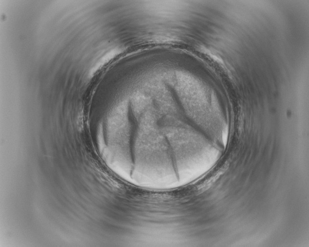 X0000088601306200706151751